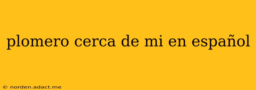 plomero cerca de mi en español