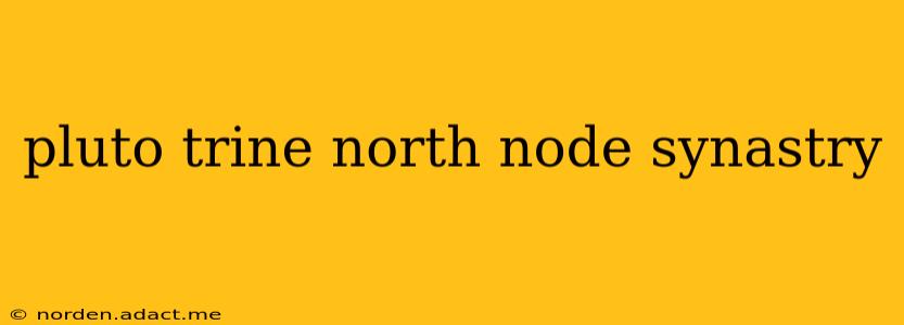 pluto trine north node synastry