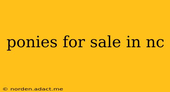 ponies for sale in nc