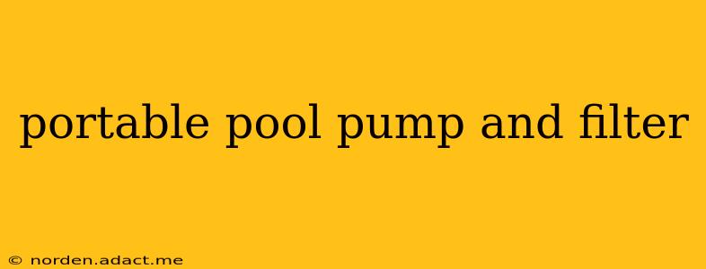 portable pool pump and filter