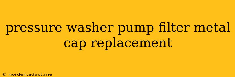 pressure washer pump filter metal cap replacement