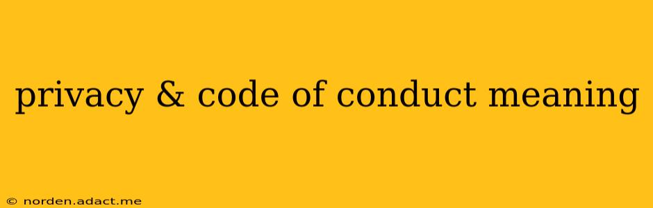 privacy & code of conduct meaning
