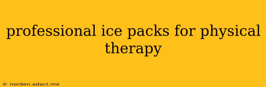 professional ice packs for physical therapy