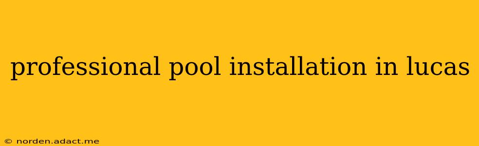 professional pool installation in lucas