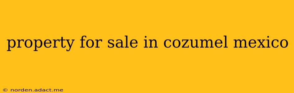 property for sale in cozumel mexico