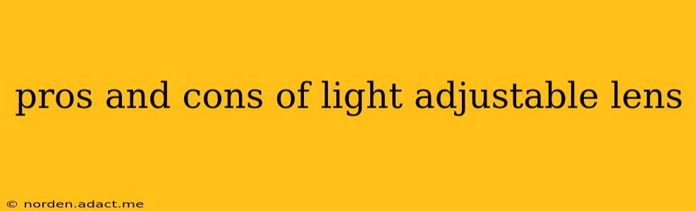 pros and cons of light adjustable lens