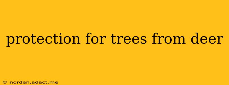 protection for trees from deer