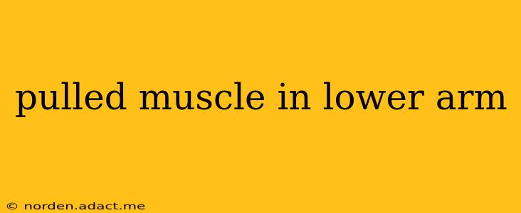 pulled muscle in lower arm