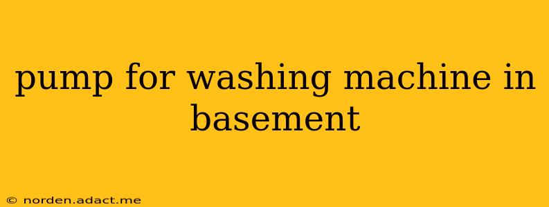 pump for washing machine in basement