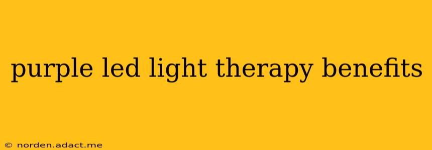 purple led light therapy benefits