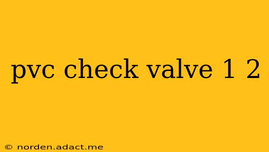 pvc check valve 1 2