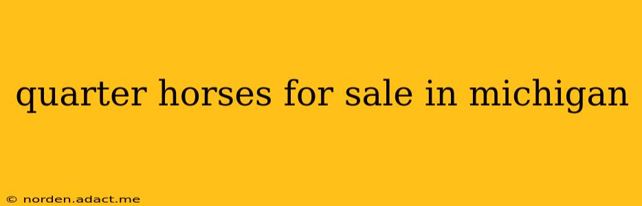 quarter horses for sale in michigan