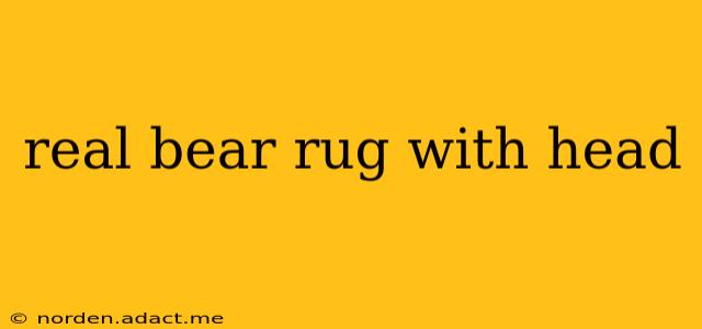 real bear rug with head
