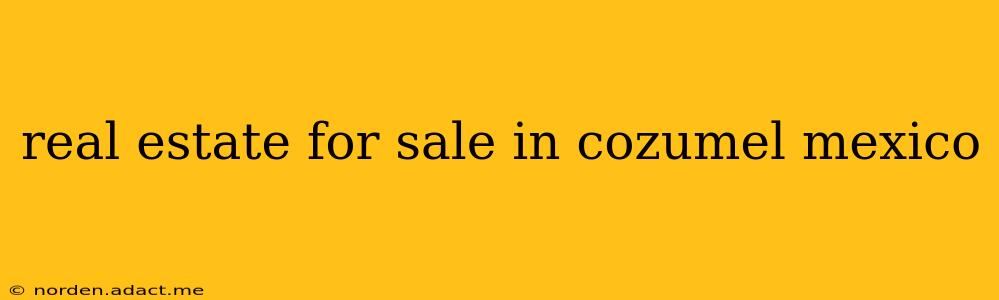 real estate for sale in cozumel mexico