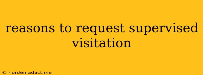 reasons to request supervised visitation