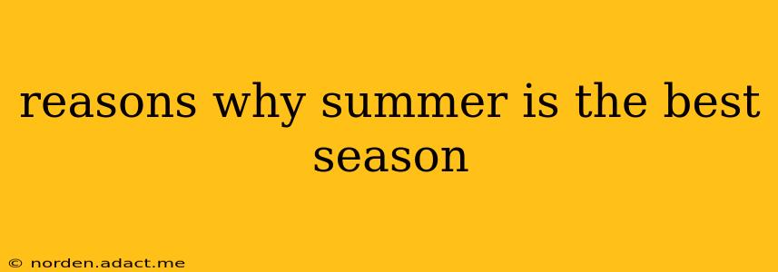reasons why summer is the best season