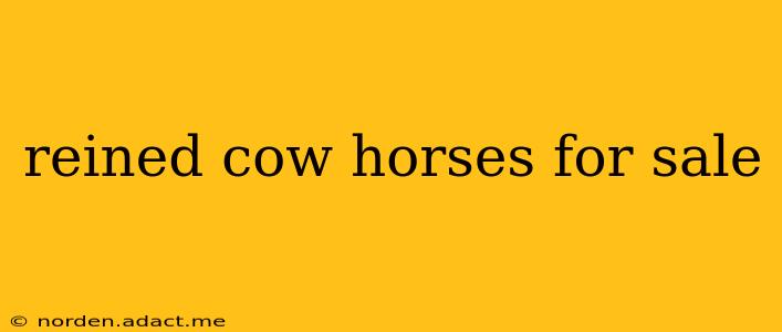 reined cow horses for sale
