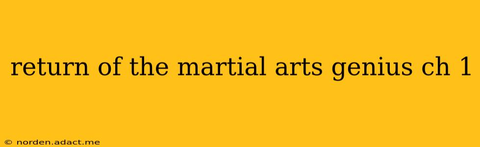 return of the martial arts genius ch 1