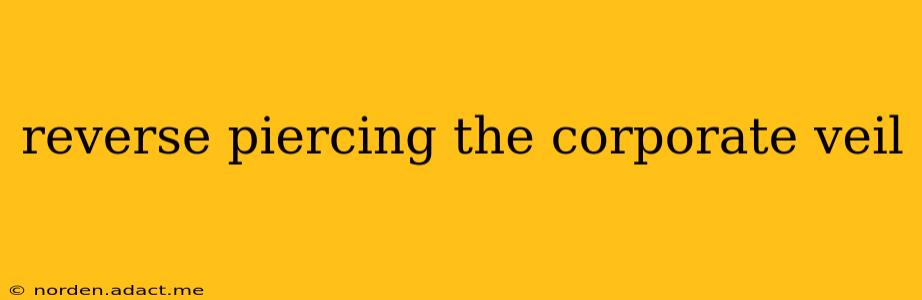 reverse piercing the corporate veil