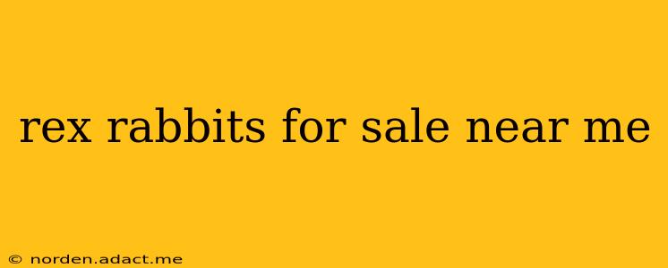 rex rabbits for sale near me