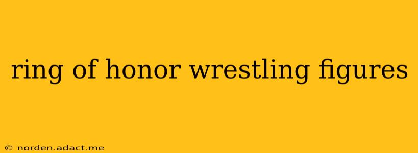 ring of honor wrestling figures