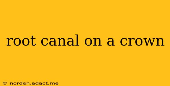 root canal on a crown