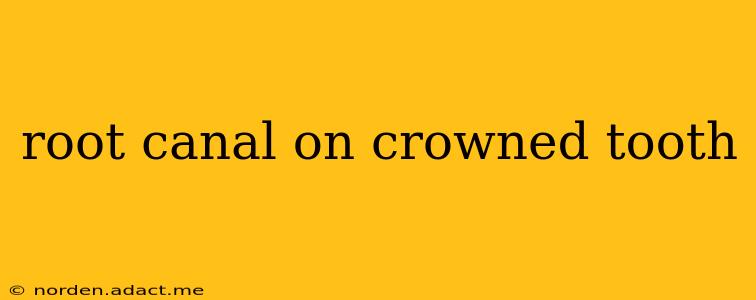 root canal on crowned tooth