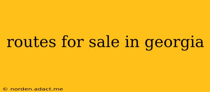 routes for sale in georgia