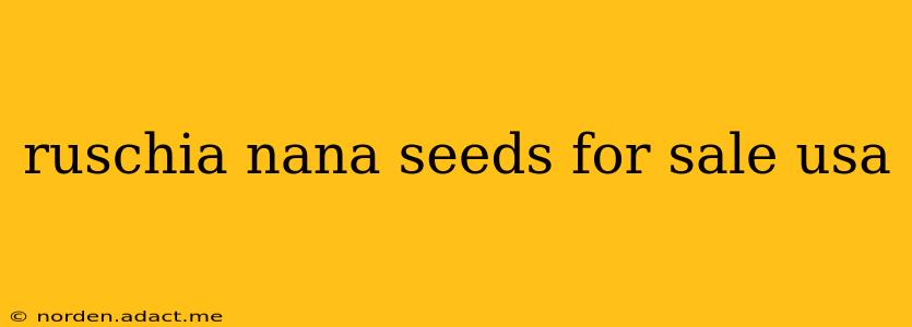 ruschia nana seeds for sale usa