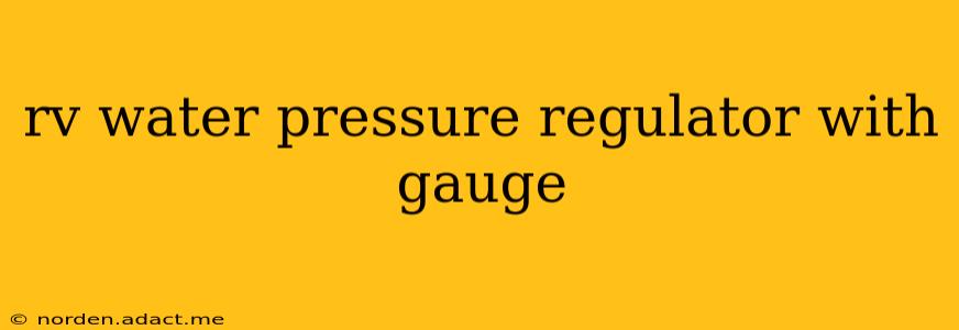 rv water pressure regulator with gauge