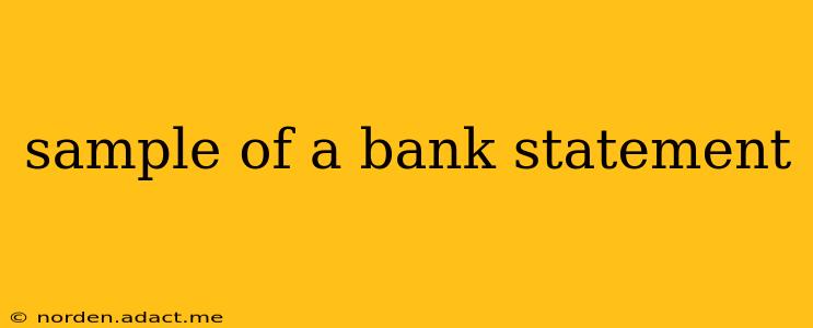 sample of a bank statement