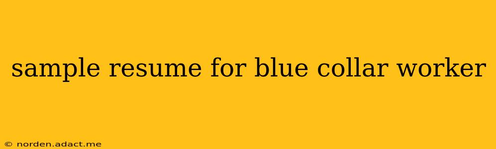 sample resume for blue collar worker