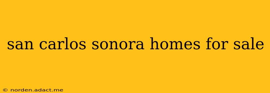 san carlos sonora homes for sale
