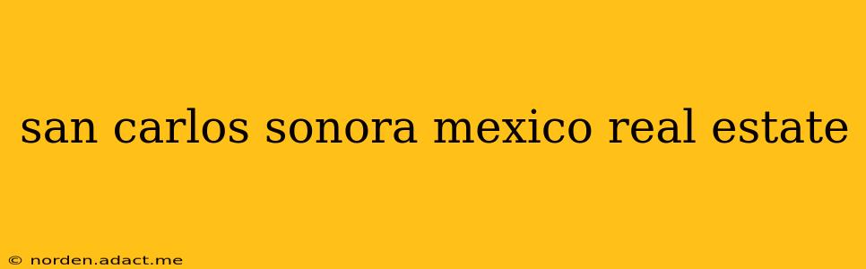 san carlos sonora mexico real estate