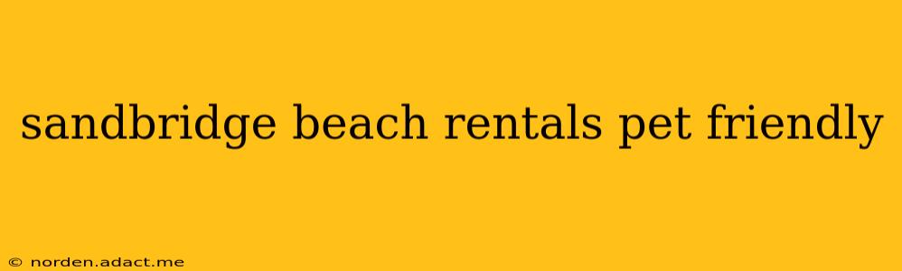 sandbridge beach rentals pet friendly
