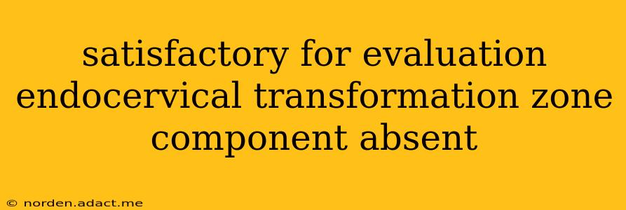 satisfactory for evaluation endocervical transformation zone component absent