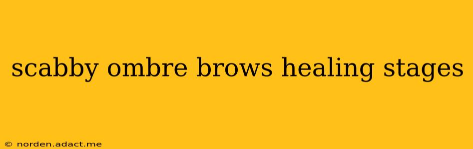 scabby ombre brows healing stages