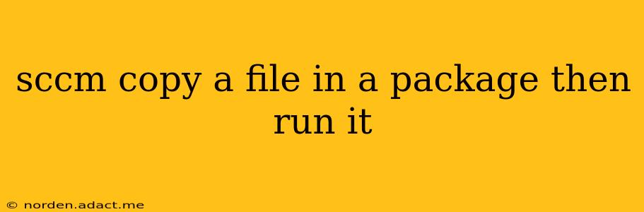 sccm copy a file in a package then run it