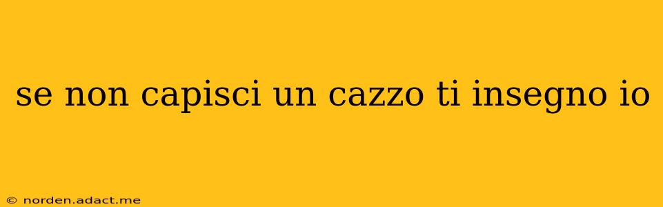 se non capisci un cazzo ti insegno io se non capisci un cazzo ti insegno io