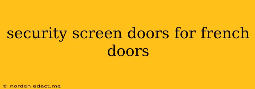security screen doors for french doors