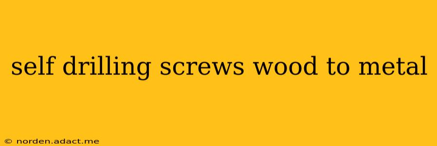 self drilling screws wood to metal