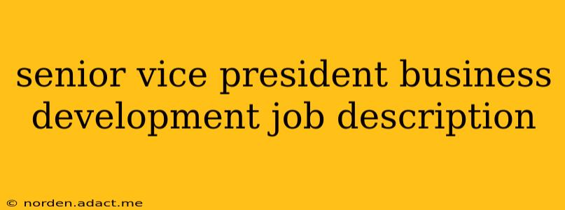 senior vice president business development job description