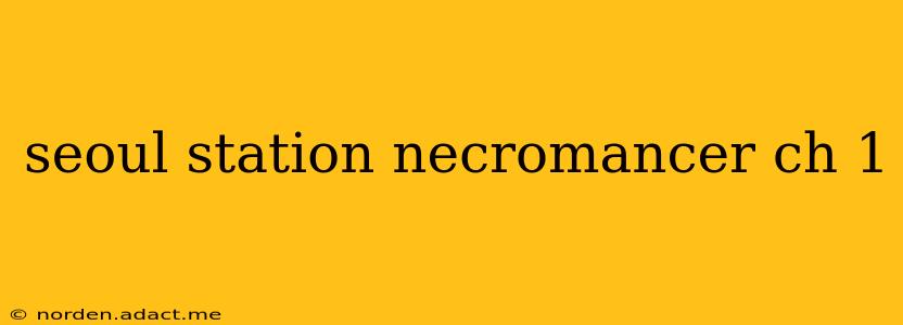 seoul station necromancer ch 1