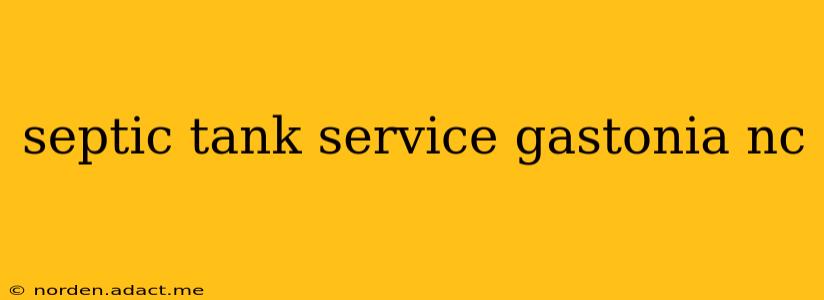 septic tank service gastonia nc