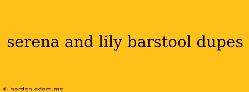 serena and lily barstool dupes