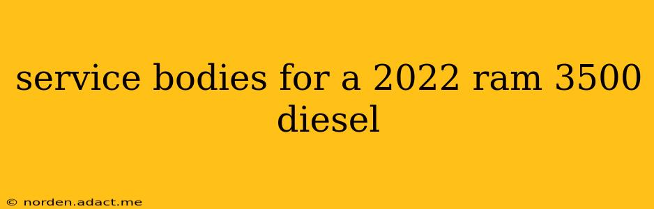 service bodies for a 2022 ram 3500 diesel
