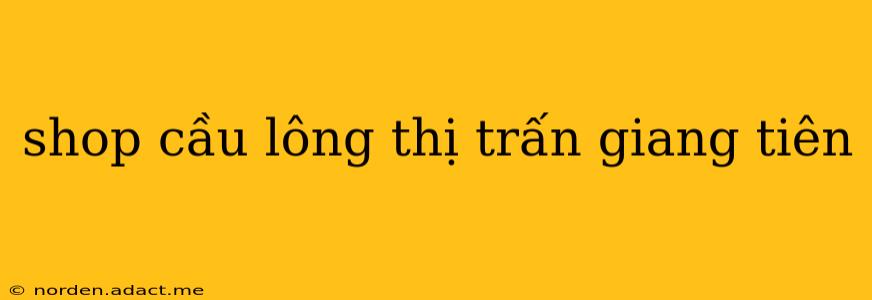 shop cầu lông thị trấn giang tiên