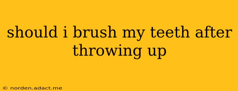 should i brush my teeth after throwing up