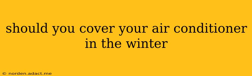 should you cover your air conditioner in the winter