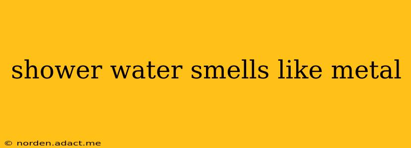 shower water smells like metal